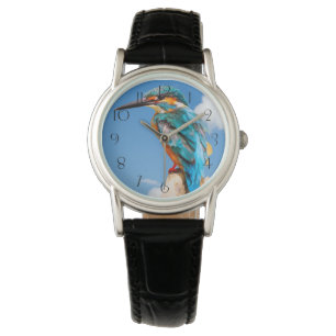 Stunning kingfisher watch