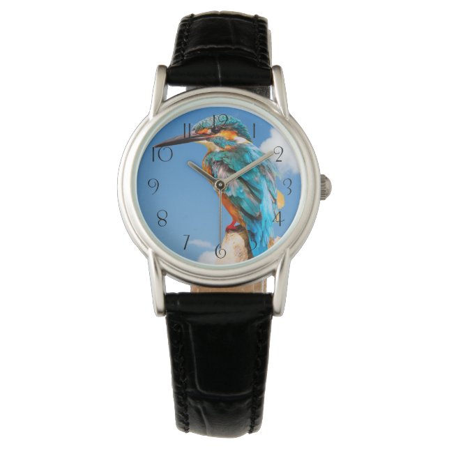 Stunning kingfisher watch (Front)