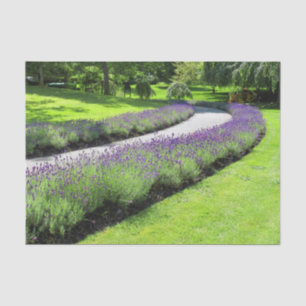 Stunning Lavender-Lined Garden Walk Landscape Tissue Paper