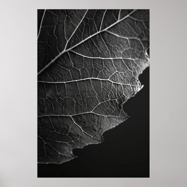 Stunning Macro Photography by Nathan Wirth - Close Poster (Front)