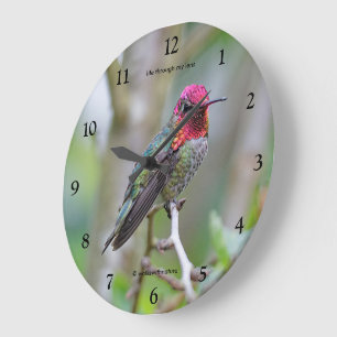 Stunning Male Anna's Hummingbird on the Plum Tree Large Clock