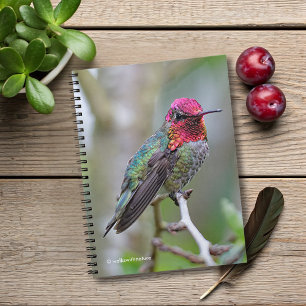 Stunning Male Anna's Hummingbird on the Plum Tree Spiral Notebook
