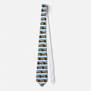 Stunning! Mediaeval Bruges - Pro Photo Tie