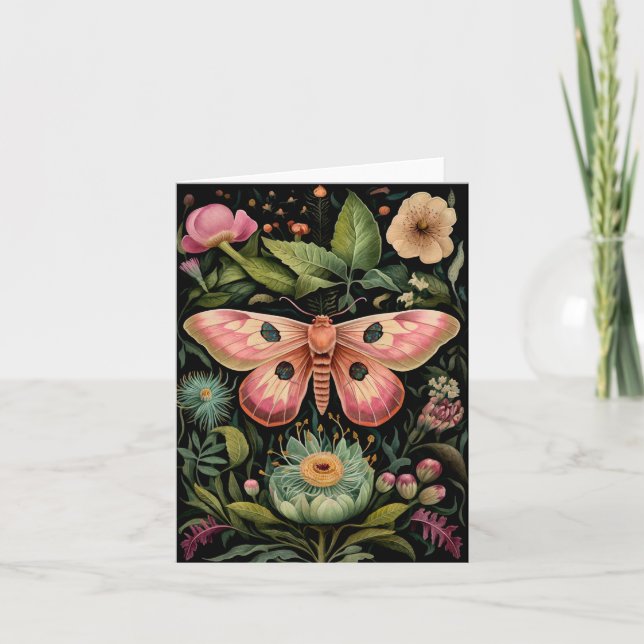Stunning Moth Cards (Front)