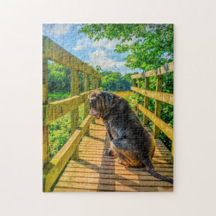 Stunning Neapolitan Mastiff  Jigsaw Puzzle