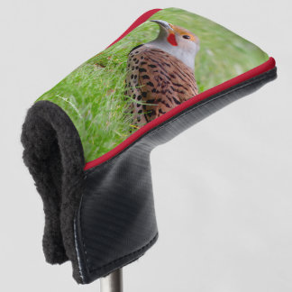 Stunning Northern Flicker Foraging in the Grass Golf Head Cover