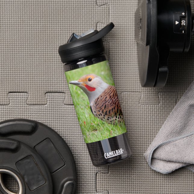Stunning Northern Flicker Foraging in the Grass Water Bottle (Gym (Rotated))