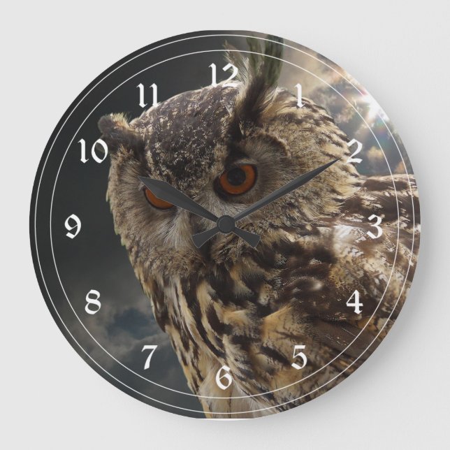 Stunning Owl Photography Series Large Clock (Front)