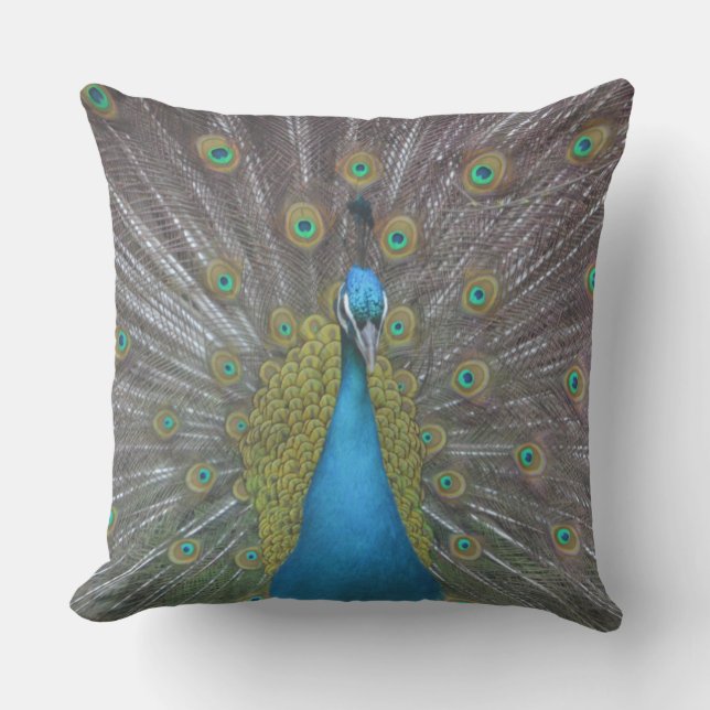Stunning Peacock Cushion (Front)