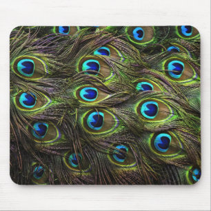 Stunning Peacock Feathered Mouse Pad