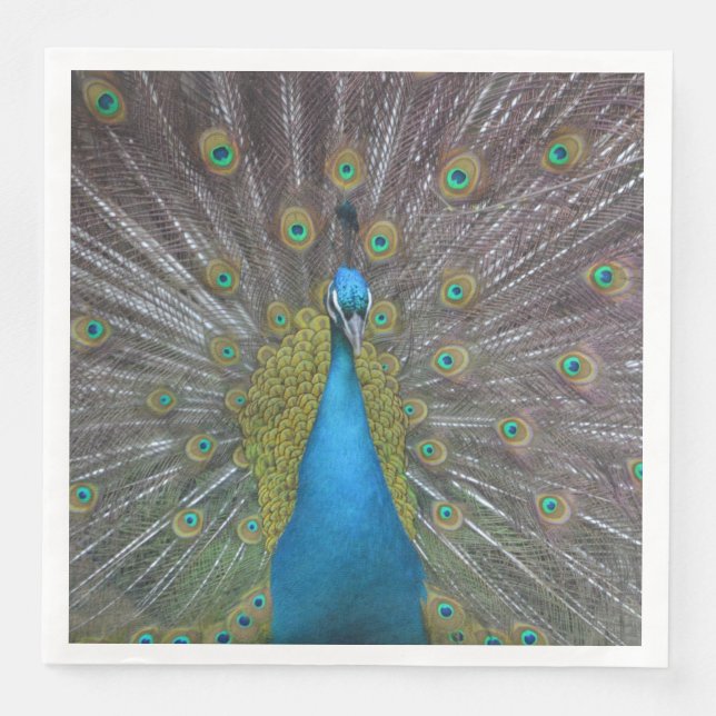 Stunning Peacock Napkin (Front)