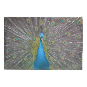 Stunning Peacock Pillowcase