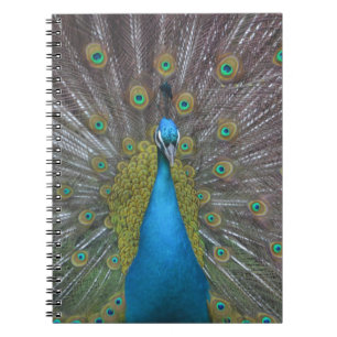 Stunning Peacock Spiral Notebook