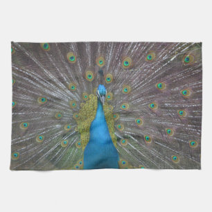 Stunning Peacock Tea Towel