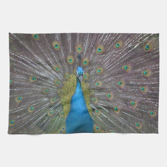 Stunning Peacock Tea Towel (Horizontal)