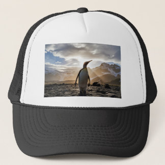 Stunning picture of a penguin trucker hat