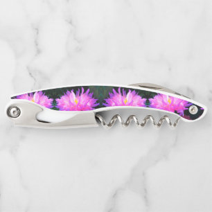Stunning Pink and Purple Cactus Dahlia Corkscrew