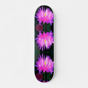 Stunning Pink and Purple Cactus Dahlia Skateboard