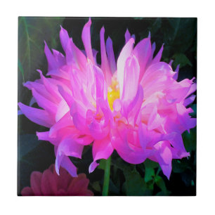 Stunning Pink and Purple Cactus Dahlia Tile