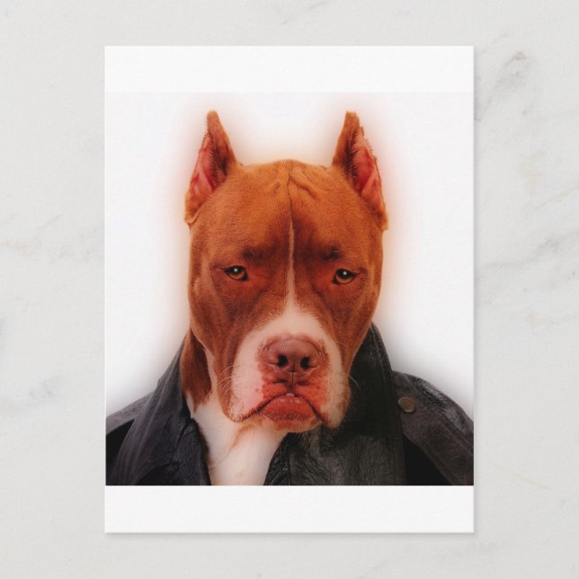 Stunning Pit Postcard (Front)