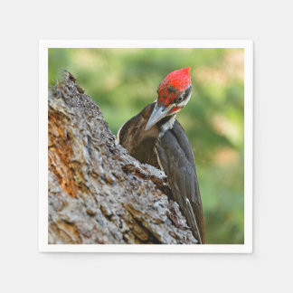 Stunning Portrait of Pileated Woodpecker on Tree Napkin