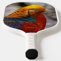 Stunning Profile of a Red Golden Pheasant Gamebird