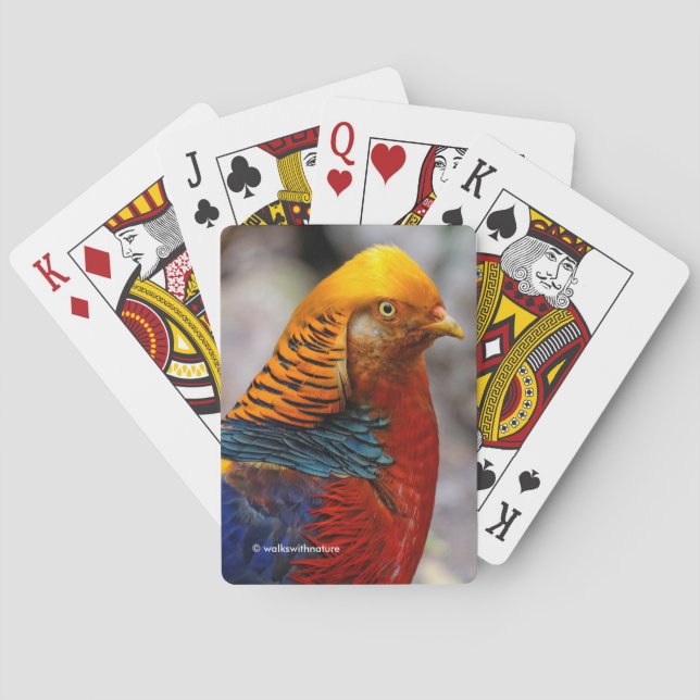 Stunning Profile of a Red Golden Pheasant Gamebird Playing Cards (Back)