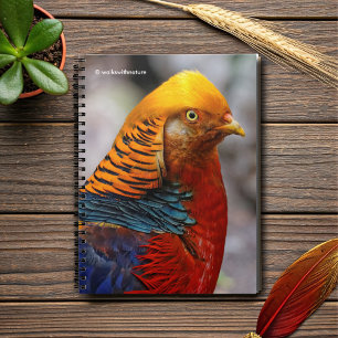 Stunning Profile of a Red Golden Pheasant Spiral Notebook