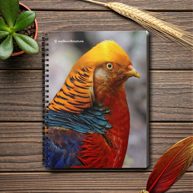 Stunning Profile of a Red Golden Pheasant Spiral Notebook (Profile of a Red Golden Pheasant Journal Cover Photo)