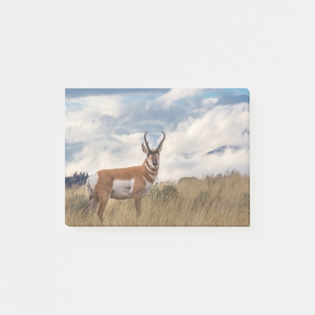 Stunning Pronghorn Post-it Notes (Front)