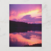 Stunning, purple sunrise reflected in water, post