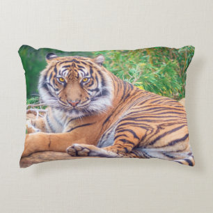 Stunning Reclining Tiger Photograph Decorative Cushion