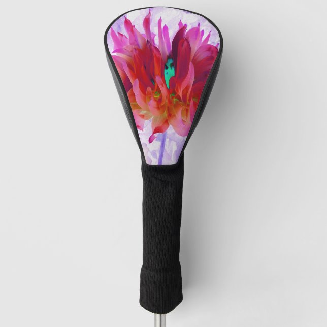 Stunning Red and Hot Pink Cactus Dahlia Golf Head Cover (Front)