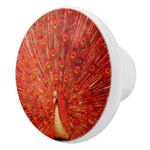 Stunning Red Peacock, Ceramic Knob