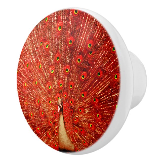 Stunning Red Peacock, Ceramic Knob (Right)