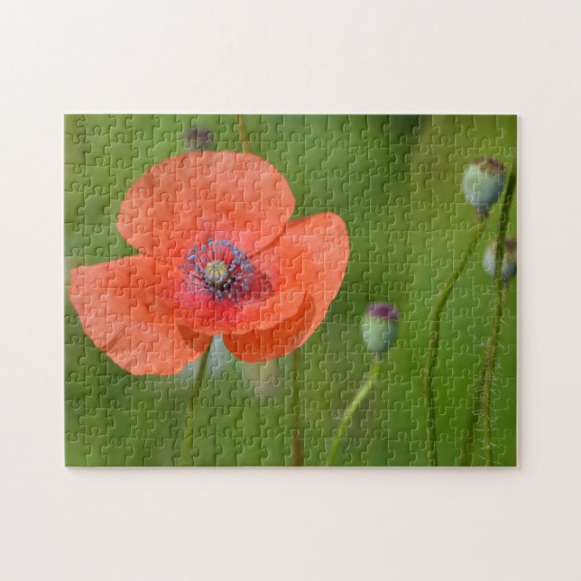 Stunning Red Poppy Jigsaw Puzzle (Horizontal)