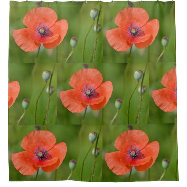 Stunning Red Poppy Shower Curtain (Front)