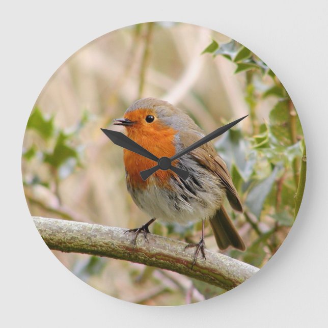 Stunning Robin Large Clock (Front)