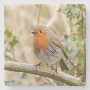 Stunning Robin Stone Coaster