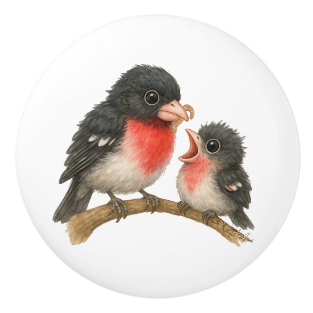 Stunning Rose Breasted Grosbeak Ceramic Knob (Front)