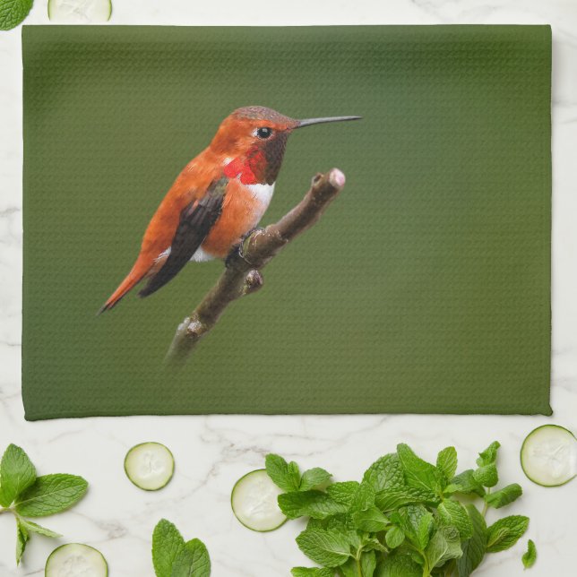 Stunning Rufous Hummingbird on the Cherry Tree Tea Towel (Folded)