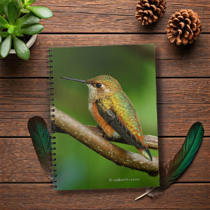 Stunning Rufous Hummingbird on Twining Vines Spiral Notebook
