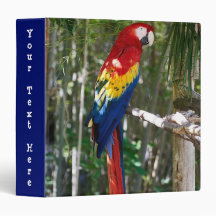 Stunning Scarlet Macaw Parrot