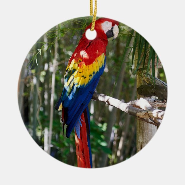 Stunning Scarlet Macaw Parrot Ceramic Tree Decoration (Front)
