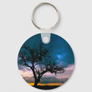 Stunning scenery - tree silhouette, sunset, moody key ring