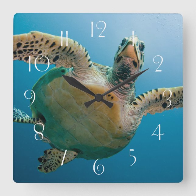 Stunning sea turtle square wall clock (Front)