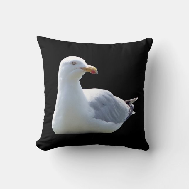 Stunning Seagull Resting Black Background Style  Cushion (Front)