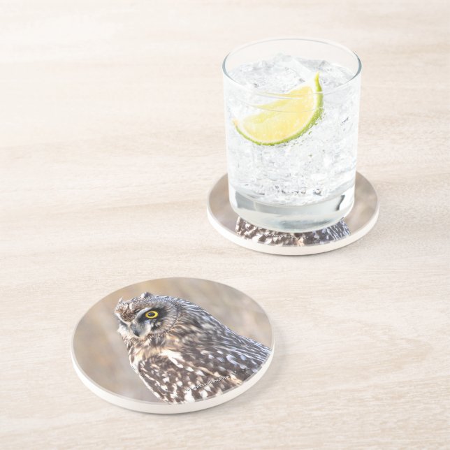 Stunning Short-Eared Owl in the Marshes Coaster (Side)