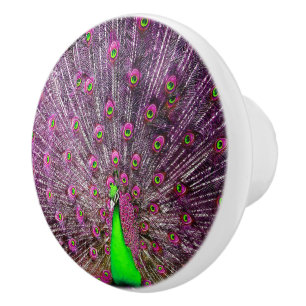 Stunning Showy Purple And Green Peacock, Ceramic Knob