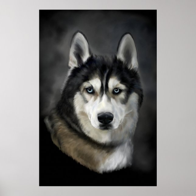 Stunning siberian husky digital painting poster (Front)